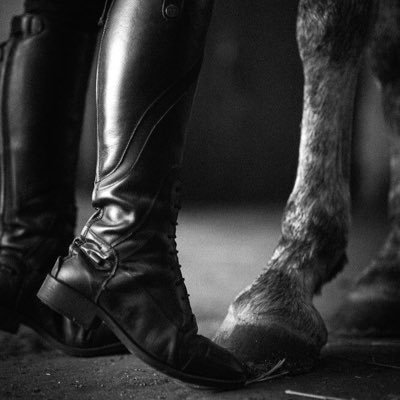 secretofdam's profile picture. 