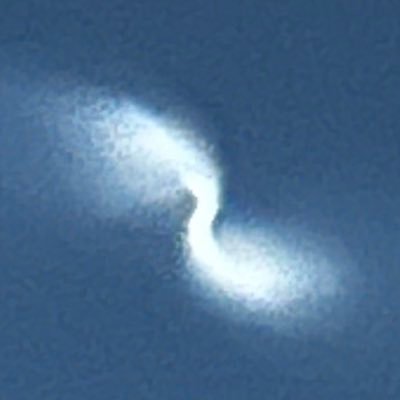 Anorkii's profile picture. 