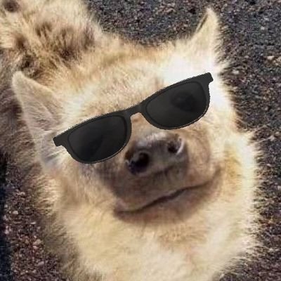 Lasagna52988528's profile picture. 19 || They || I only repost
||
94% of my followers are bots I think