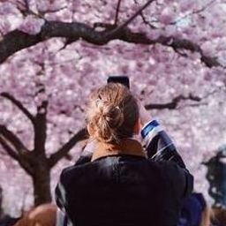 Torxci96157's profile picture. 