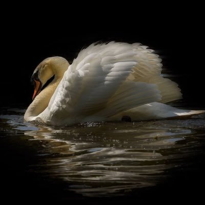 mprettywhenlcry's profile picture. 