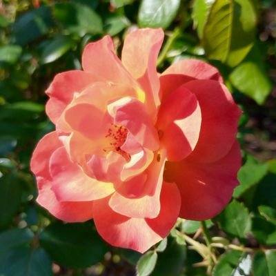 PFundx81304's profile picture. 