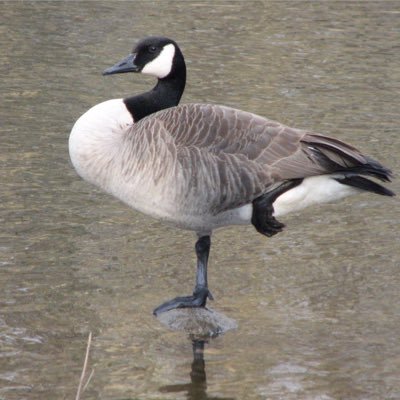 EileenMcCB's profile picture. Child of God