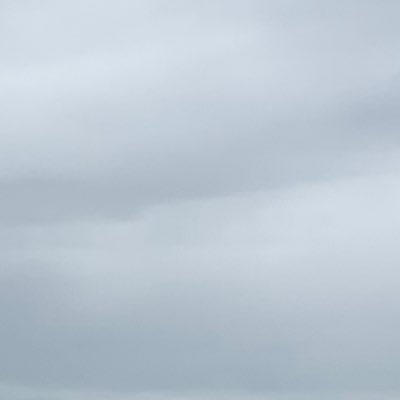 NR_truelove's profile picture. 