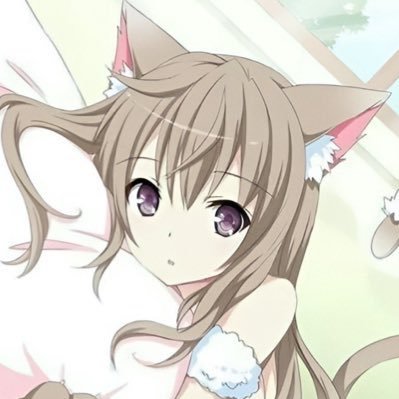 ___helokity's profile picture. 21 :p