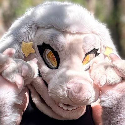 StellaPoodles's profile picture. 🩷 Lvl 27 || she/her || Aussie🇦🇺|| Furry Artist 🩷