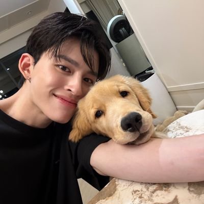 allforbtsth's profile picture. #reviewallforbtsth