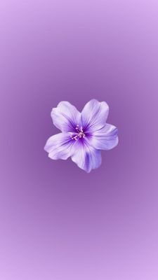 M_gwerere's profile picture. Cat parent||
Ms. Andrist||
Scribe.