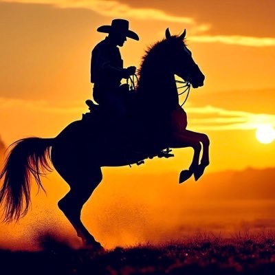 storm_rider's profile picture. ⚡️Thunder’s Edge: Real-World Survival⚡️