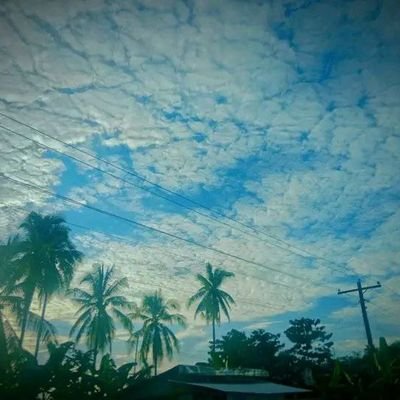 Samuel740889's profile picture. 