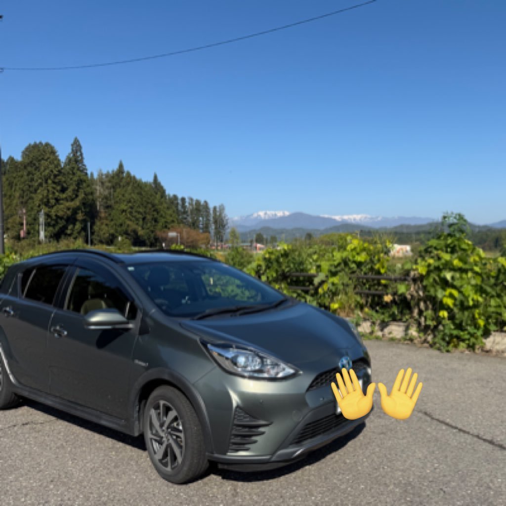 hachi_MHXX's profile picture. 気ままに乱獲してます 全1000目指して乱獲中  レアな色のアクア乗ってます