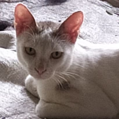 Bobai23_'s profile picture. Web3 Security Researcher