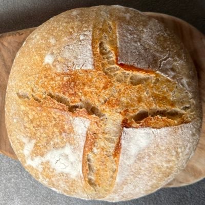 okome600g's profile picture. 歯科衛生士