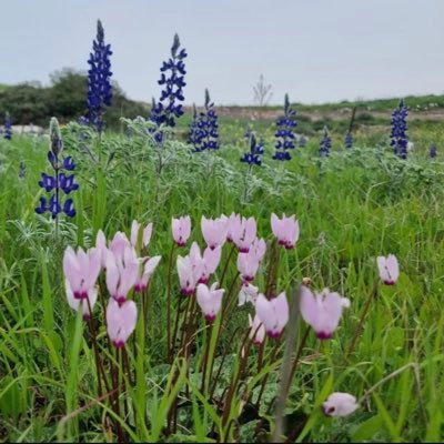 Yoav_Blum's profile picture. המדינה❤️הארץ❤️העם❤️ ימין מלא מלא דמוקרטי וליברלי.לשעבר-יו״ר הנהגה עולמית-בית״ר,סיו״ר הקונגרס היהודי העולמי והליכוד העולמי.מכהן בחבר הנאמנים של אוניברסיטת אריאל