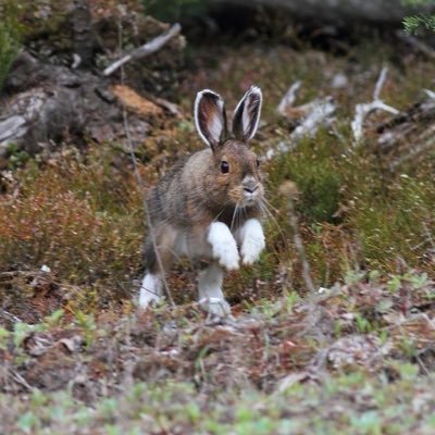 WankingWicker's profile picture. 👽He/Him/They👽Pan & Trans👽🪐!MDNI!🪐👽