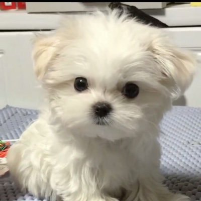 7H_loves2's profile picture. 