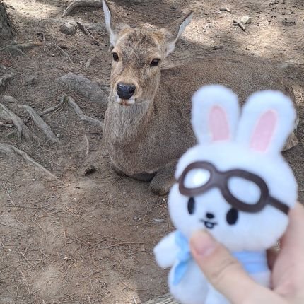 Anjoliena's profile picture. ★•ﾟ.+stay +.ﾟ•★
☆.'*｡･multi･｡*'.☆
yapper alert⚠️‼️
that yaoi obsessed oomf ~♡
•°.matching with @binchanmystars one day again .°•♥︎♪