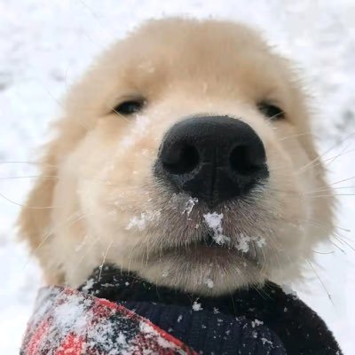 d0080072190677's profile picture. 