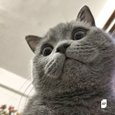 SIntaphong8745's profile picture. 