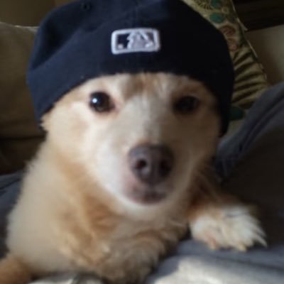 A0787309636030's profile picture. 