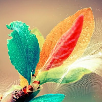 TDatasave36634's profile picture. 