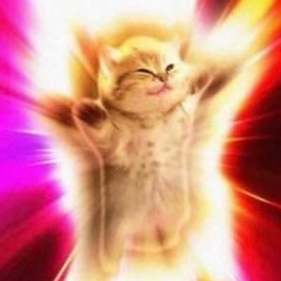 lalarianne_'s profile picture. ⣎⡇ꉺლ༽இ•̛)ྀ◞ ༎ຶ ༽ৣৢ؞ৢ؞ؖ ꉺლ