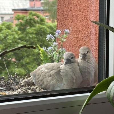 iamthatseeyall's profile picture. Huge Elon Musk fan 🌍 | His ideas reshaped how I see life and success.
Inspired by Elon Musk to chase innovation, think beyond limits, and never stop believing