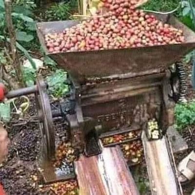 EbenezeryShao's profile picture. Tajiri wa Roho