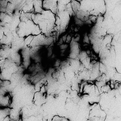 alvis_lees's profile picture. Keep creating 🧬🕹️⛓️