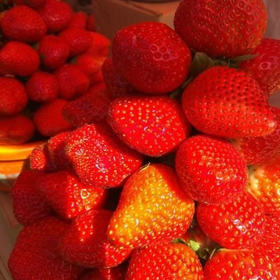 atrostaka's profile picture. I like cars and trains....