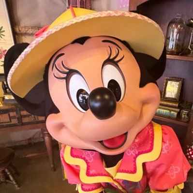 soMm7JfwkO17890's profile picture. ミニーちゃんを溺愛してるただのおたくです🐭🩷