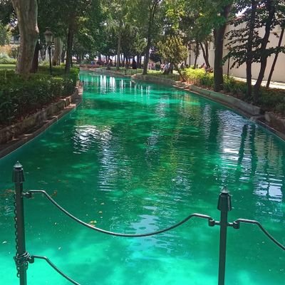 MehmetB07993542's profile picture. What is true is not what our tongue says but what our heart says.