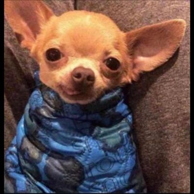 Strength_Crypt's profile picture. AIRDROP HUNTER 🪂 || $TON || $CORE || $APTOS || $SUI || COMMUNITY MODERATOR || #WEB3DEVOTEE || #INTROVERT