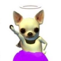 cxfgxo's profile picture. 문학소녀