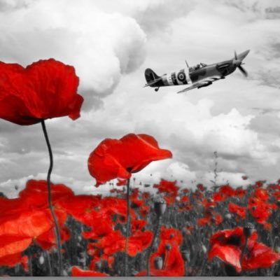 Cearullin's profile picture. All views my own. Retweets not an endorsement.