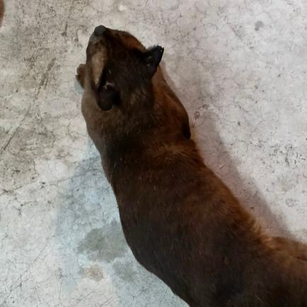 Tnqix's profile picture. 