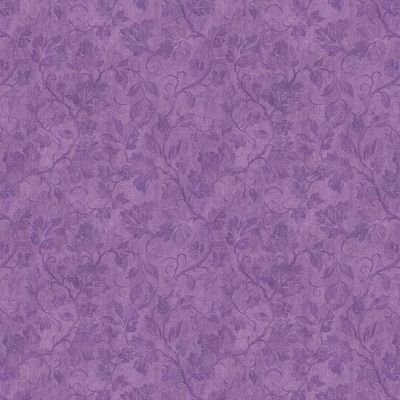 southsharkk's profile picture. for as long as there are stars