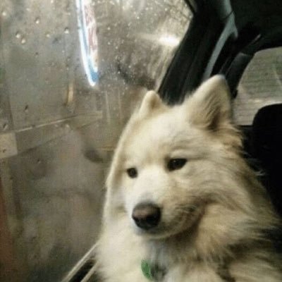 sunnv__'s profile picture. 💚🩷| ☔️ติดฝน introvert เยินๆ มอมๆ🥲