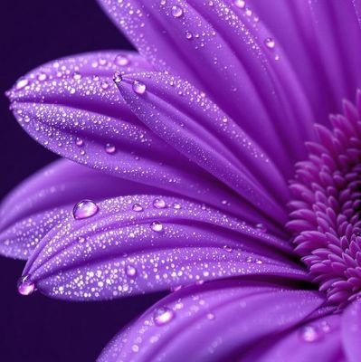 _LaMash_'s profile picture. https://t.co/NMotxtr3uI