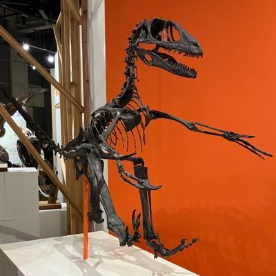 bbchan114's profile picture. 30代前半|投資4年目 |S&P500 月15万積立|オフショア 月3万| FP3級勉強中|目標:年度内に資産1000万