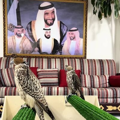 wolfUAE9108's profile picture. UAE