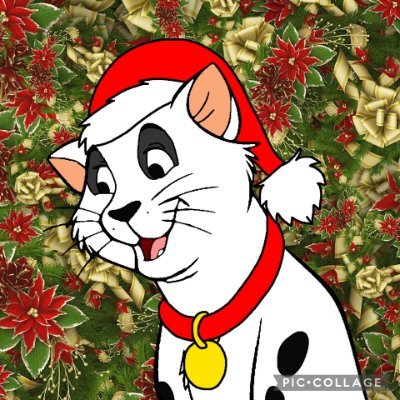 Patches_101Dalm's profile picture. Few tips about me:
1. He/Him
2. SFW/NSFW
3. Mate: not interested
Best bro: @Whizzer_Dalmati