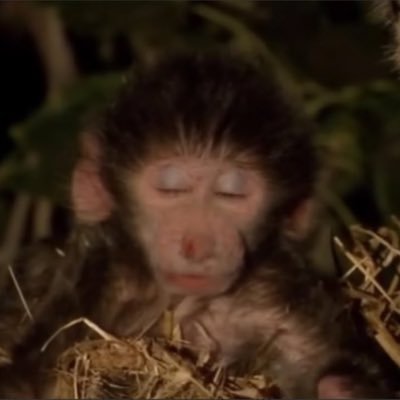 4wffer's profile picture. 