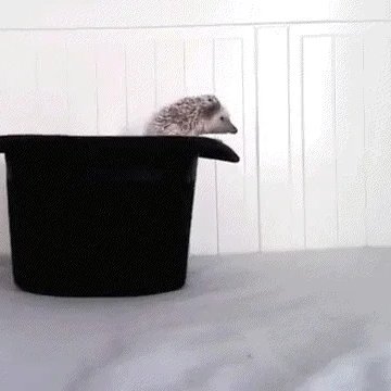 Kaan900as's profile picture. $River @river4fun 리버 최고야!! 💙🌊