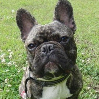 zazi_kabu's profile picture. デイトレから中長期まで。株/FX/CFD勉強中３年目。新高値ブレイク7期生。無言フォロー失礼します