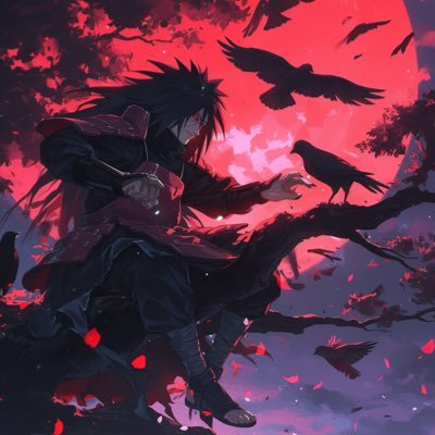 Rohsayy's profile picture. 