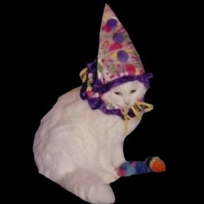 sincityfrog's profile picture. this cereal tastes like wall