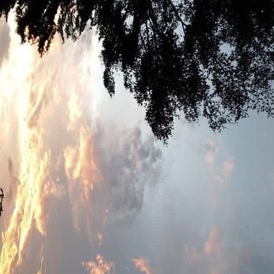 TEdafitite26015's profile picture. Great