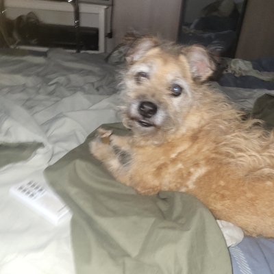 potagg's profile picture. tout ce que j'aime est illégal, immoral ou fait grossir...
je ne réponds à aucun mp