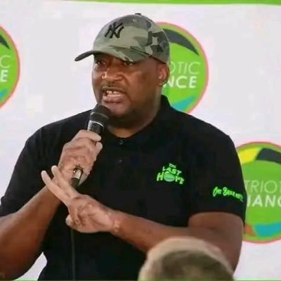 GaytonMcke51199's profile picture. Minister of Sport, Arts and Culture in the Republic of South Africa | President of @onsbaizanie